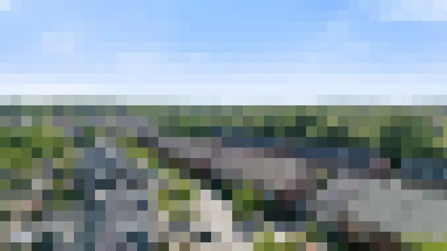 Knoopkruid 18 Voorthuizen thumbnail 5