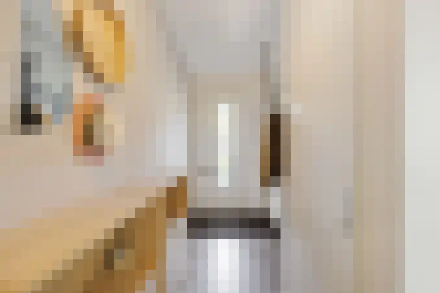 Knoopkruid 18 Voorthuizen thumbnail 6