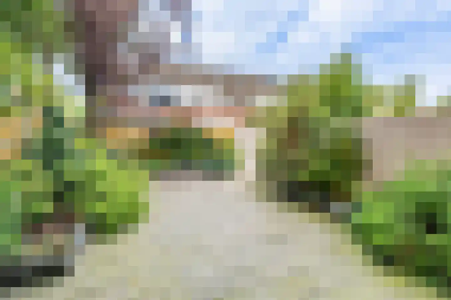 Knoopkruid 21 Diemen thumbnail 11