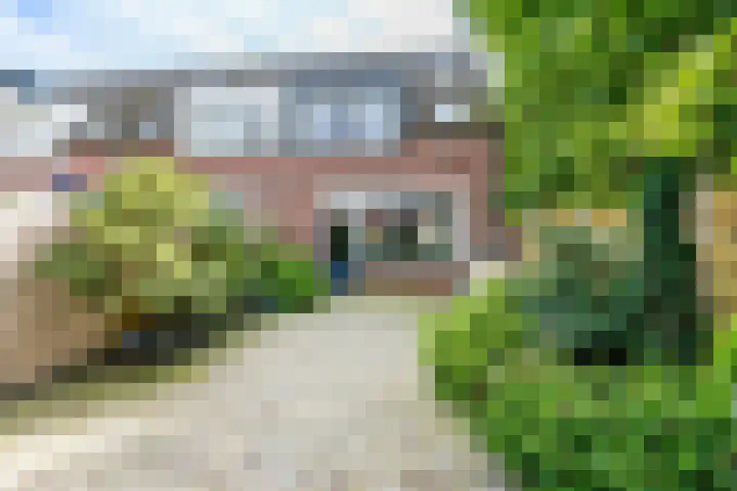 Knoopkruid 21 Diemen thumbnail 12
