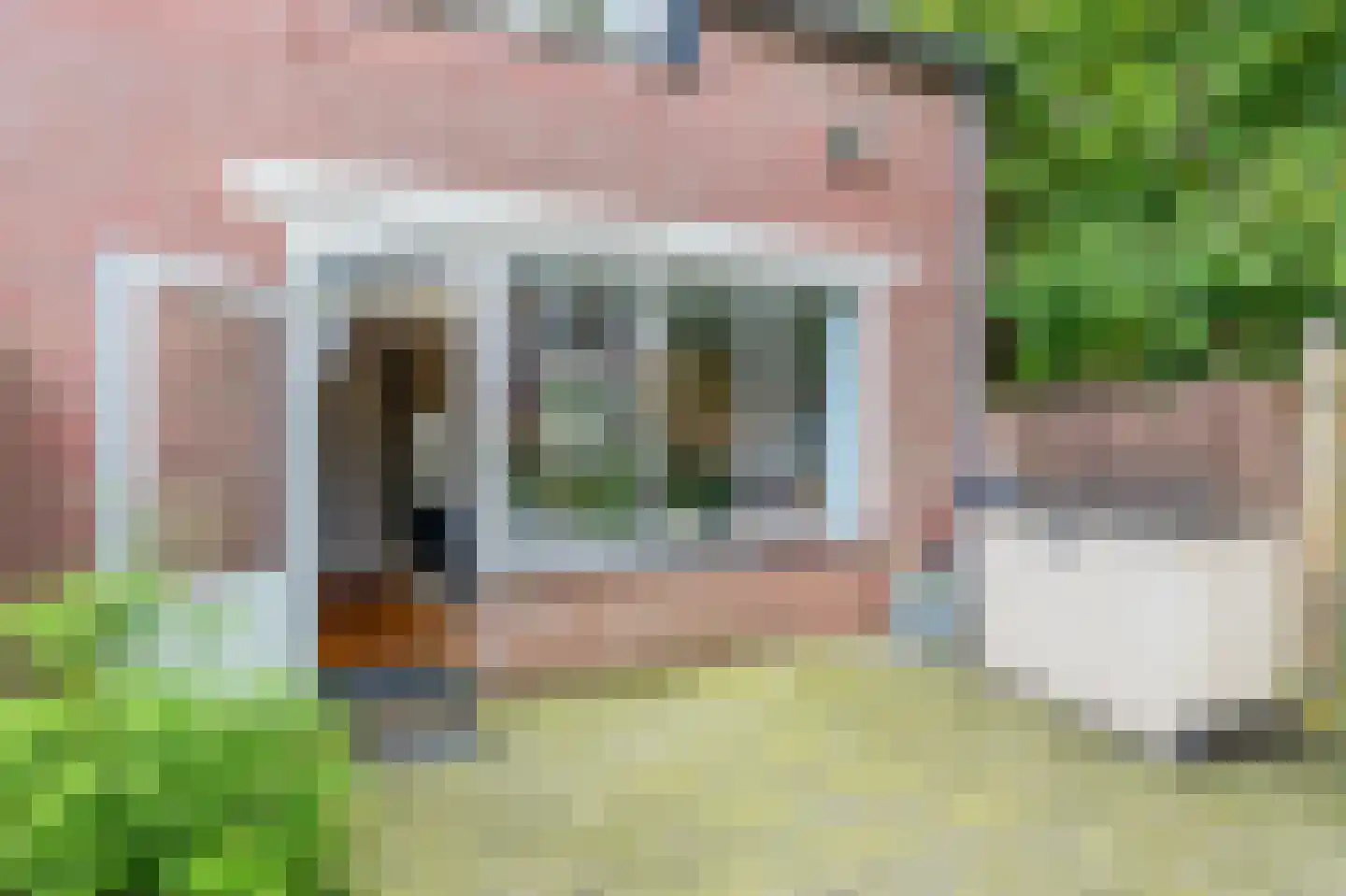 Knoopkruid 21 Diemen thumbnail 13