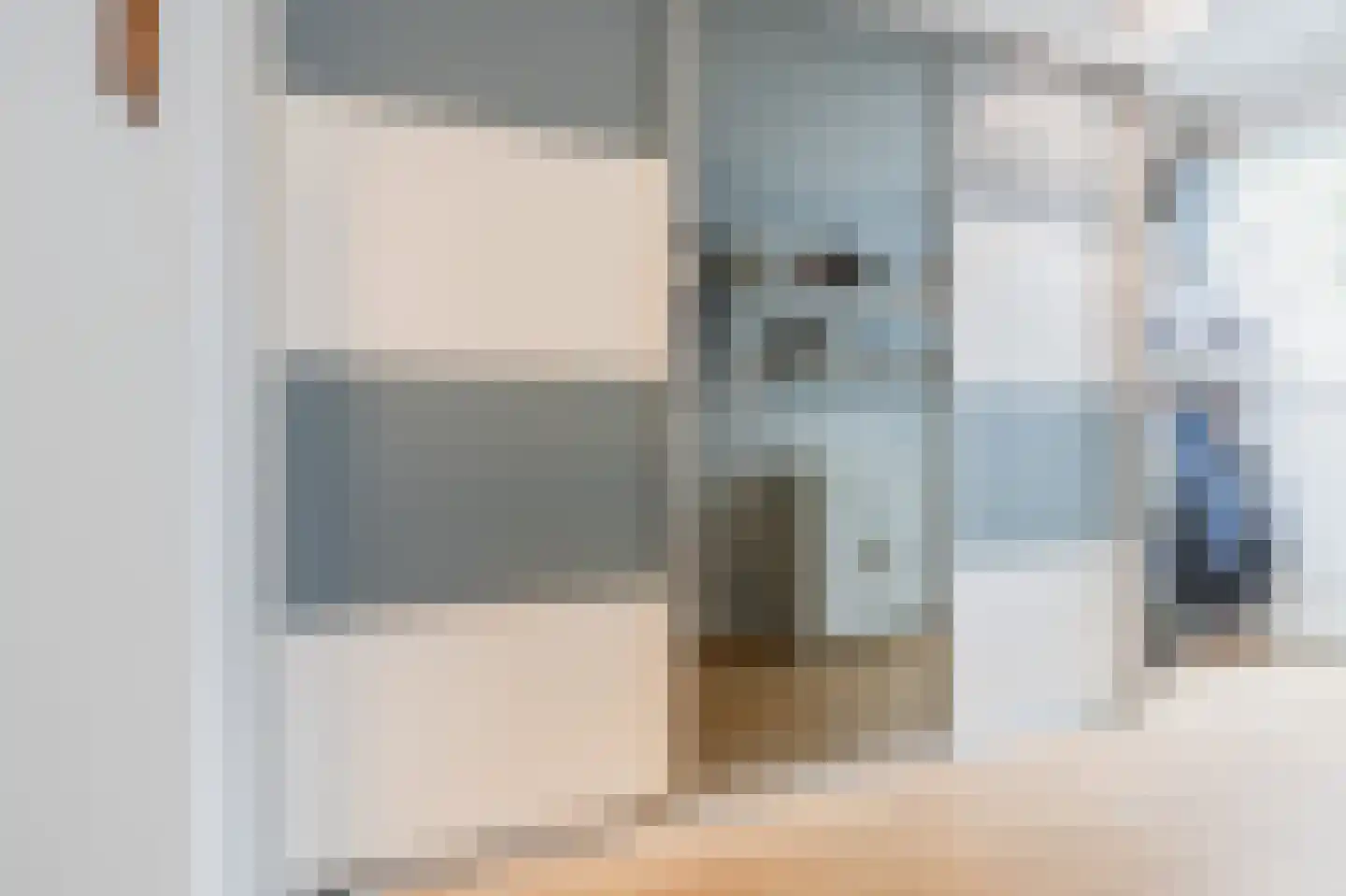 Knoopkruid 21 Diemen thumbnail 24