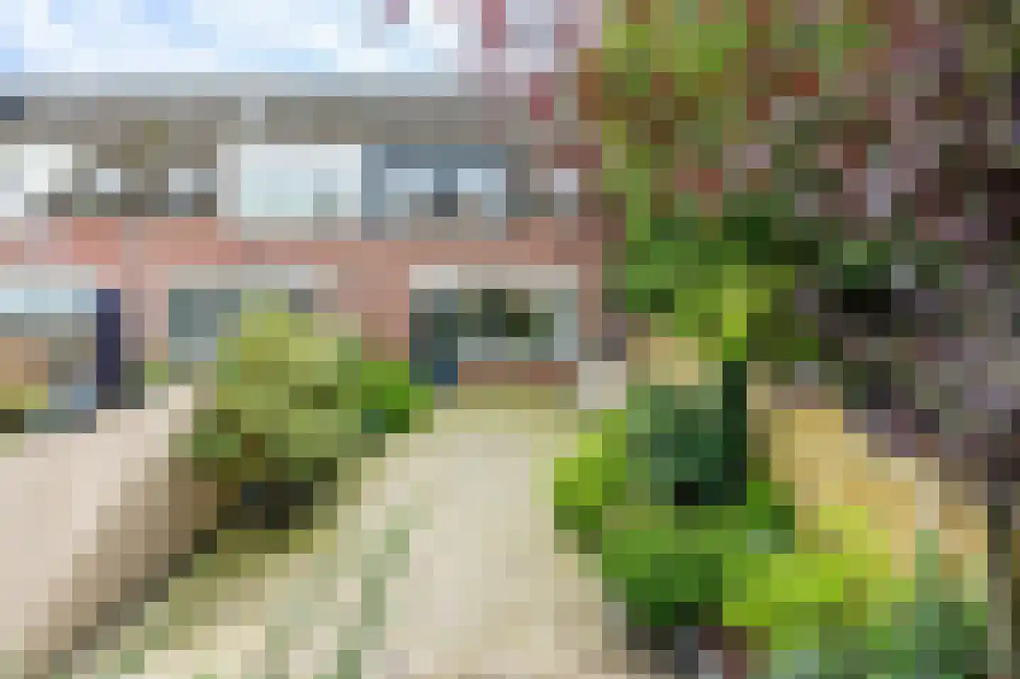 Knoopkruid 21 Diemen thumbnail 32