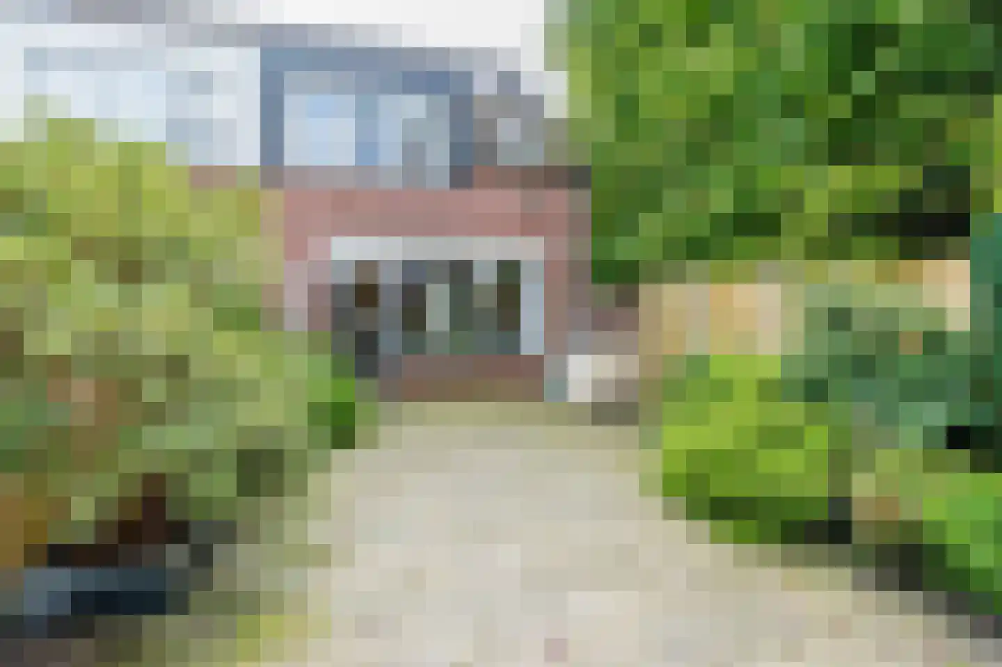 Knoopkruid 21 Diemen thumbnail 33