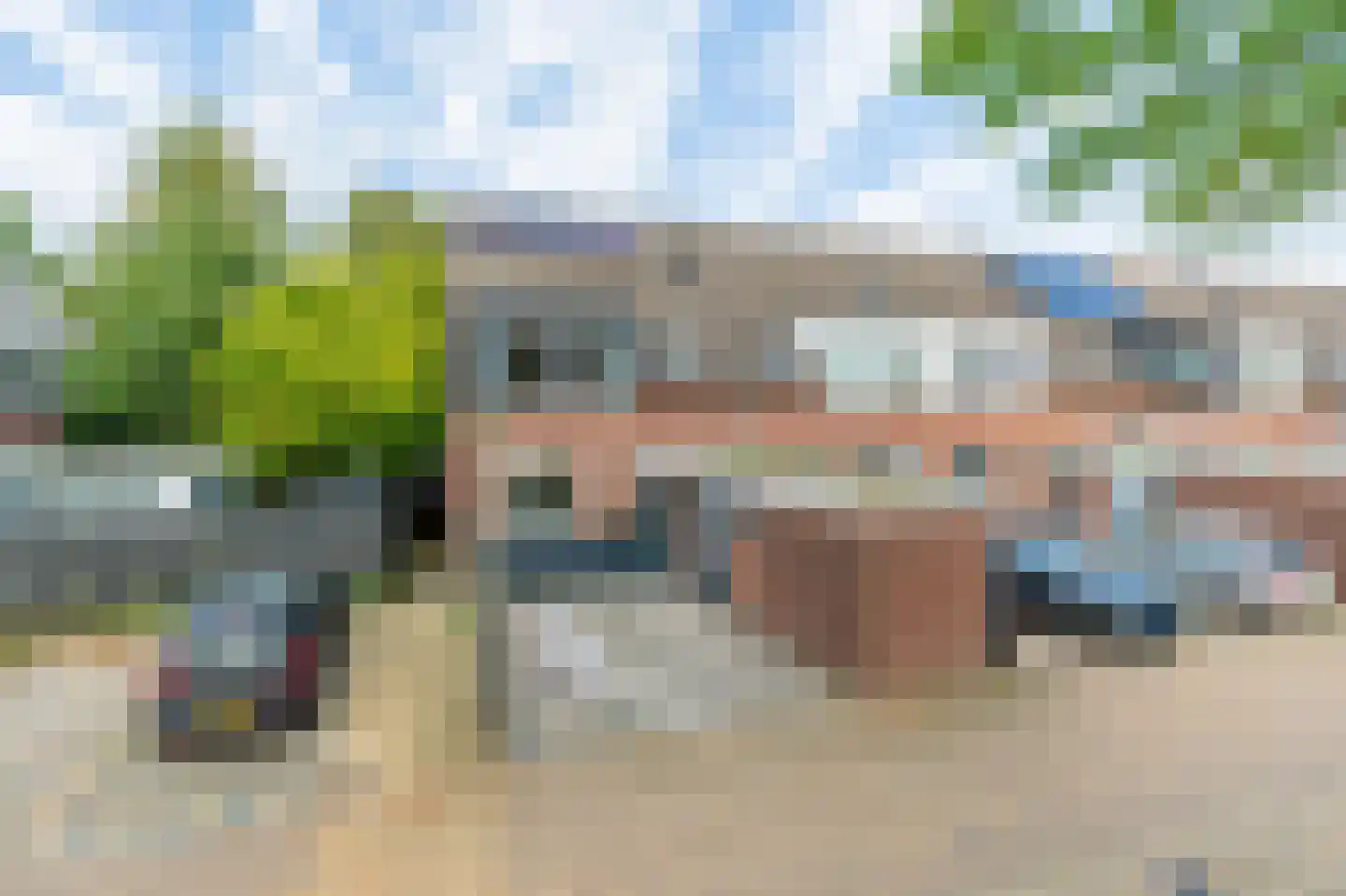 Knoopkruid 21 Diemen thumbnail 38