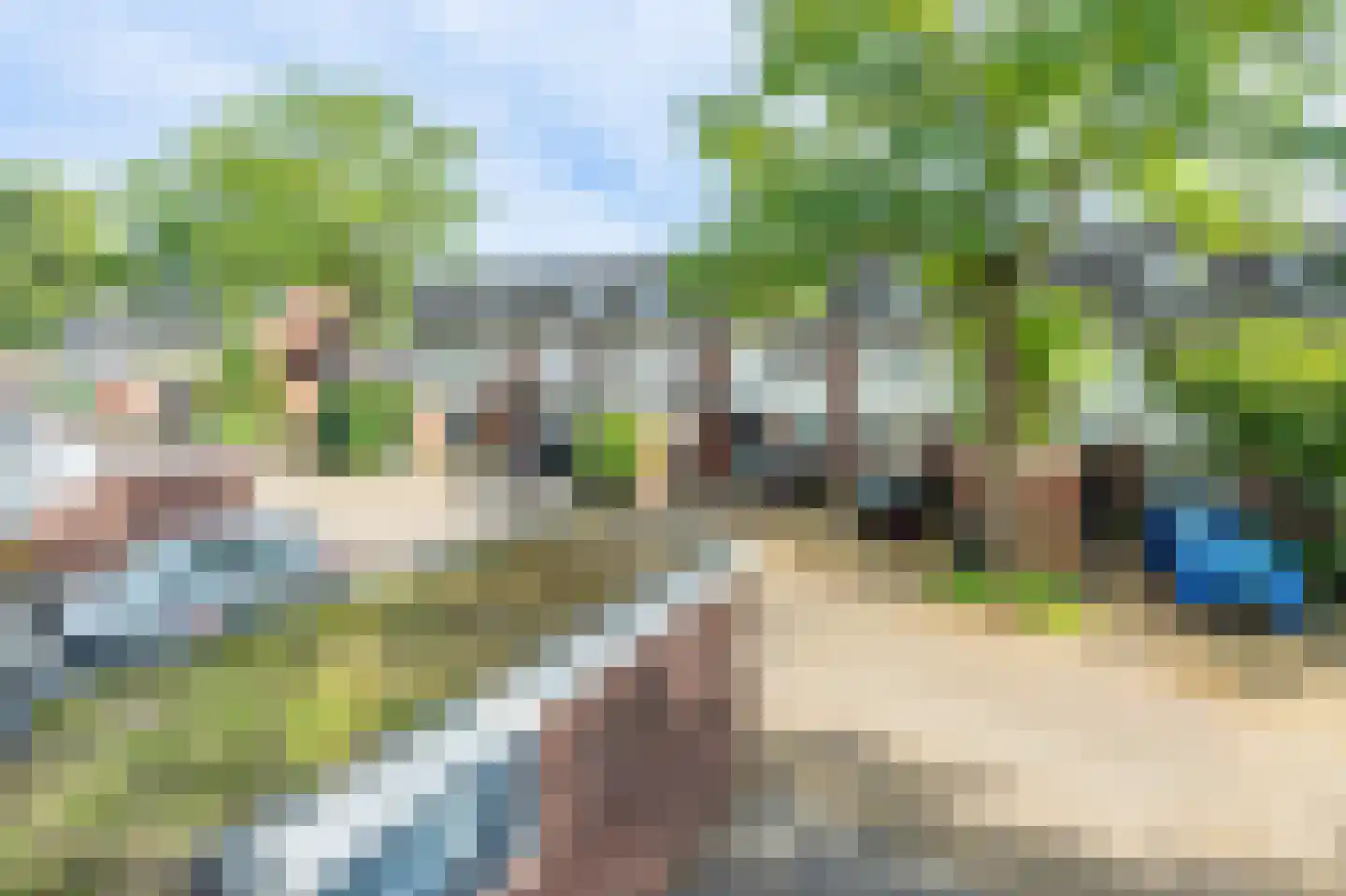 Knoopkruid 21 Diemen thumbnail 39