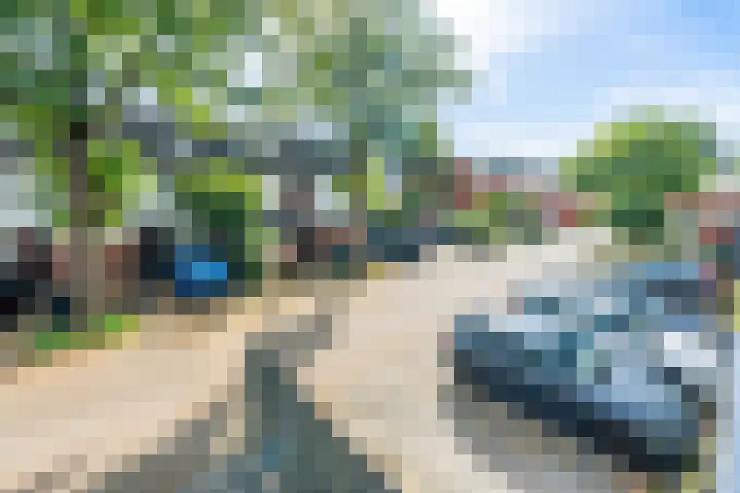 Knoopkruid 21 Diemen thumbnail 40