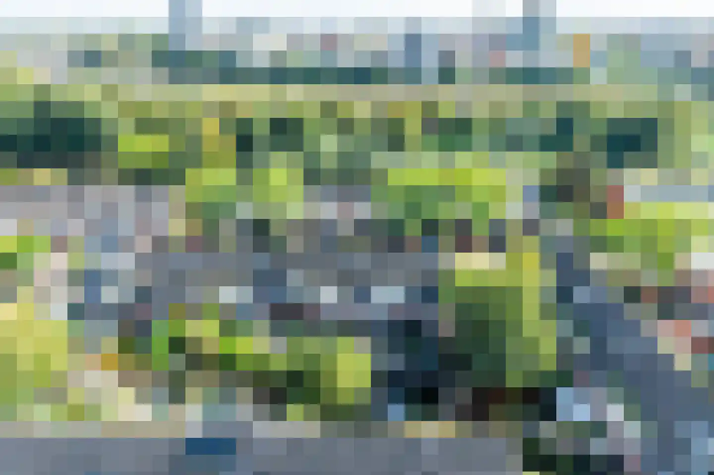 Knoopkruid 21 Diemen thumbnail 42