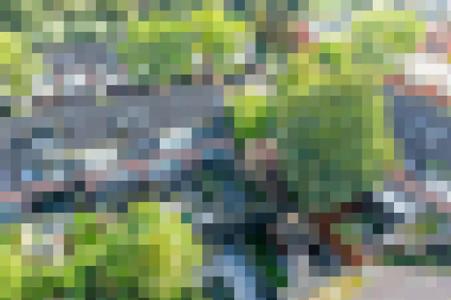 Knoopkruid 21 Diemen thumbnail 43