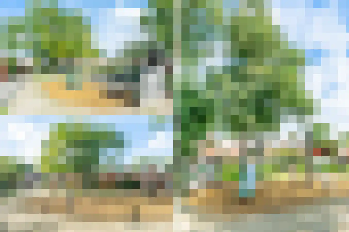 Knoopkruid 21 Diemen thumbnail 46