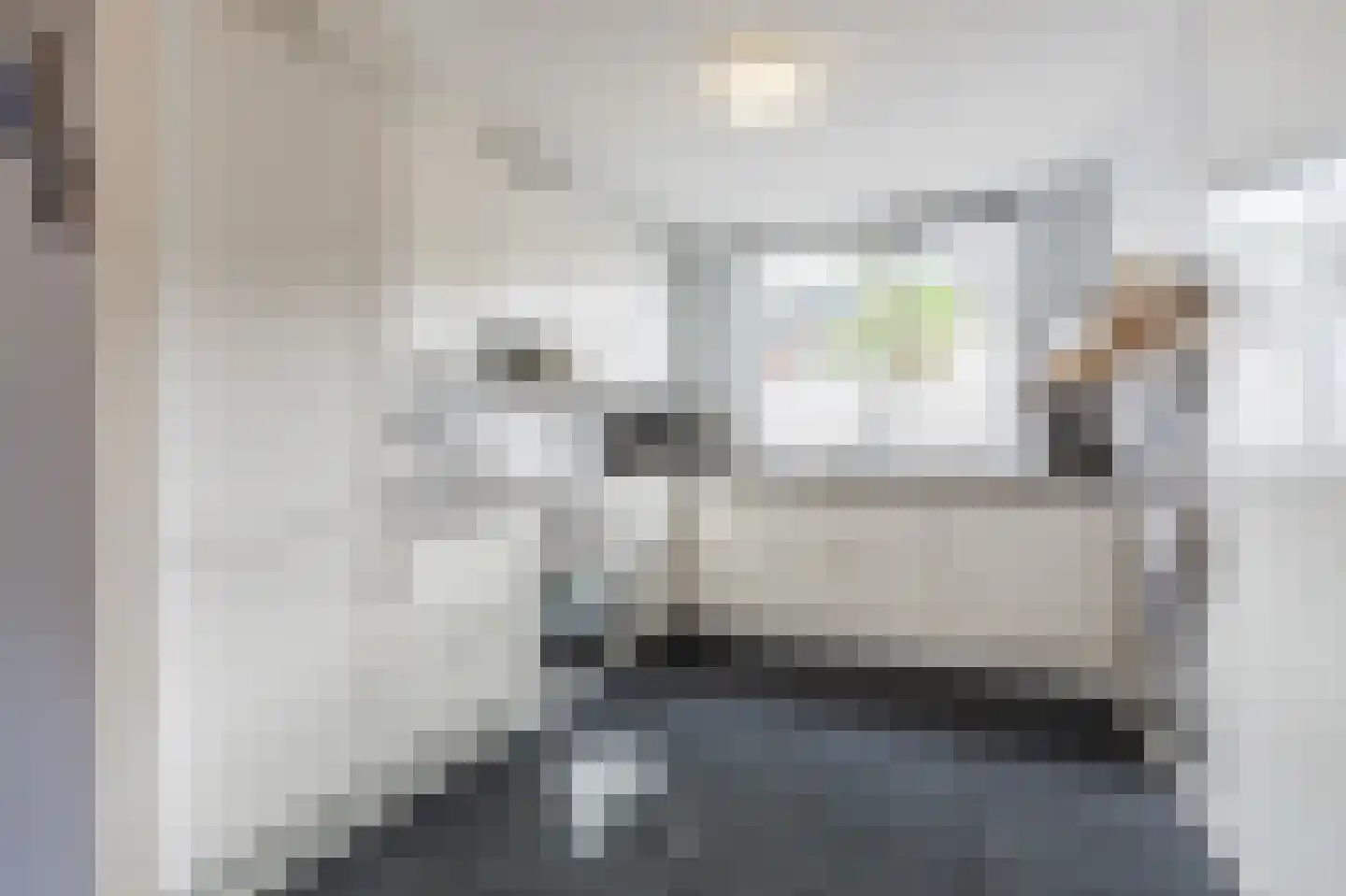 Knoopkruid 21 Diemen thumbnail 5