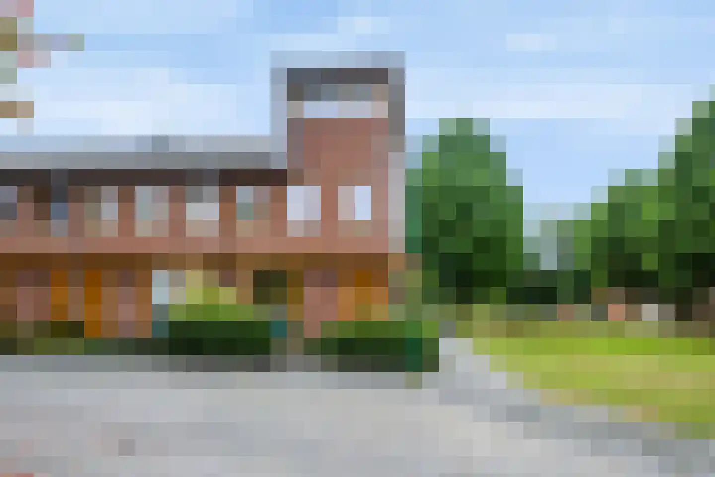 Knoopkruid 42 Voorthuizen