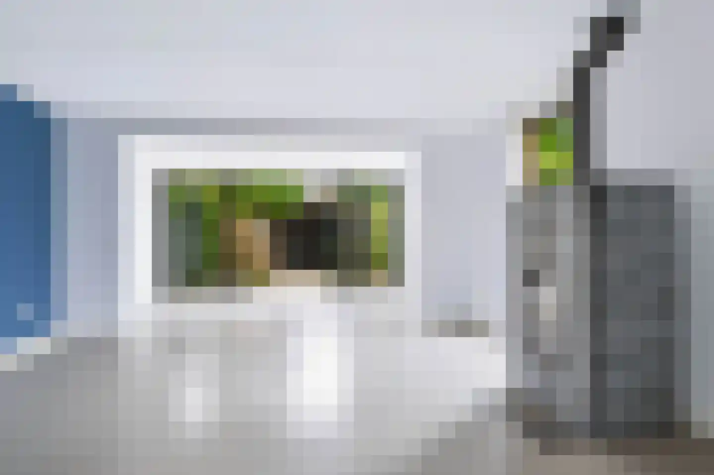 Knoopkruid 42 Voorthuizen thumbnail 12