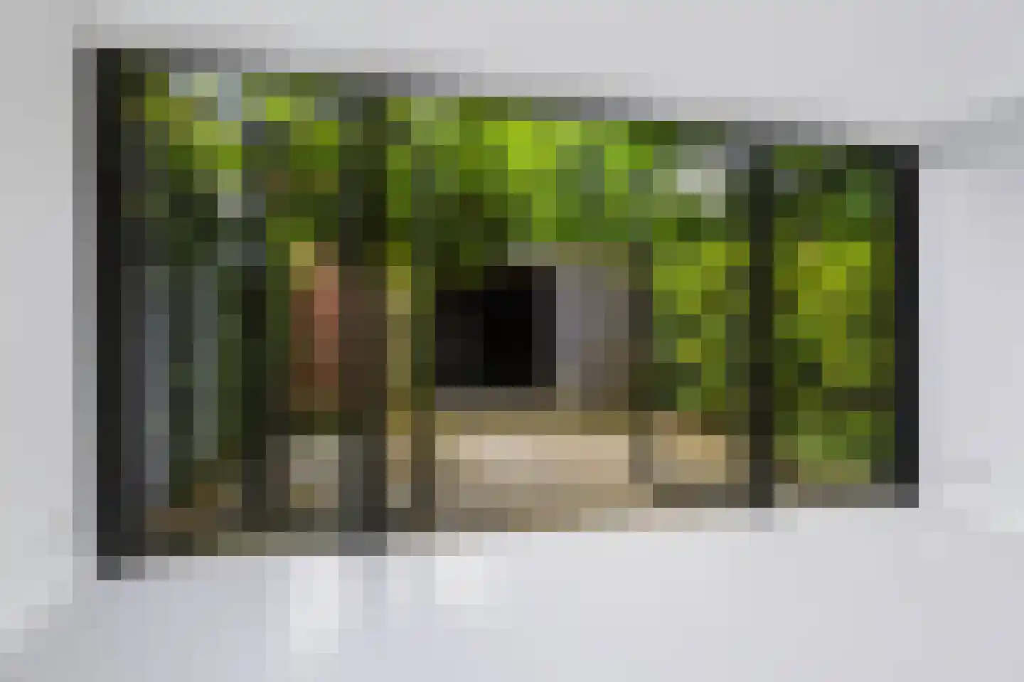 Knoopkruid 42 Voorthuizen thumbnail 13