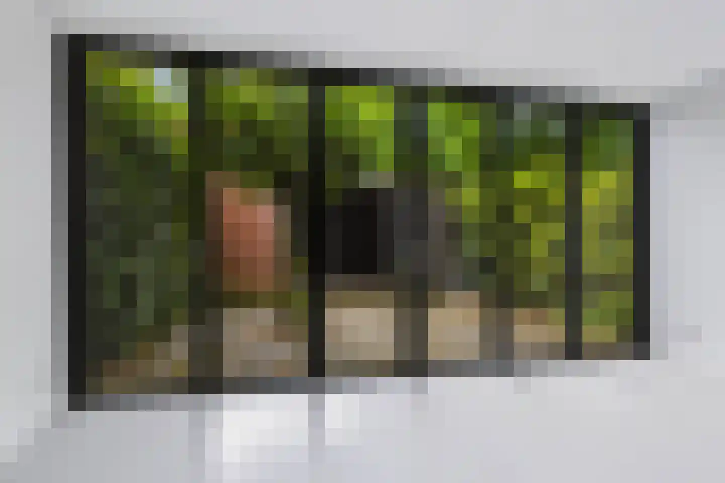 Knoopkruid 42 Voorthuizen thumbnail 14