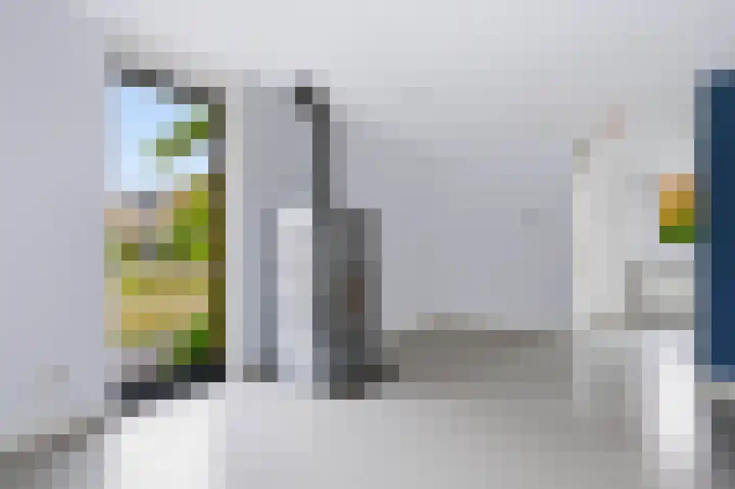 Knoopkruid 42 Voorthuizen thumbnail 16
