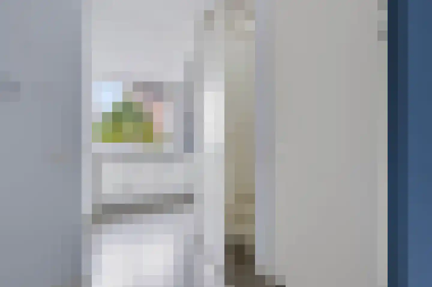 Knoopkruid 42 Voorthuizen thumbnail 17