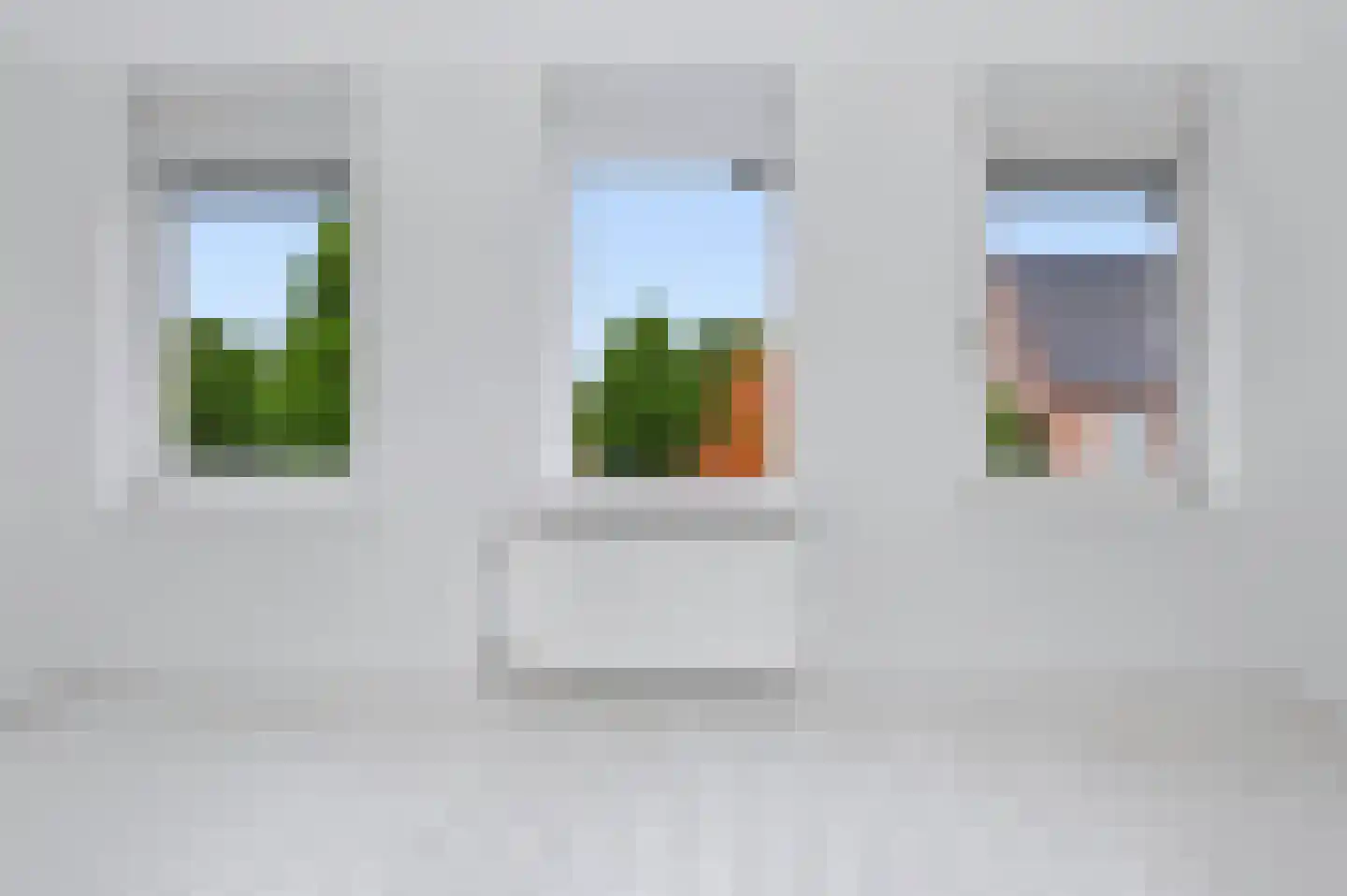 Knoopkruid 42 Voorthuizen thumbnail 23
