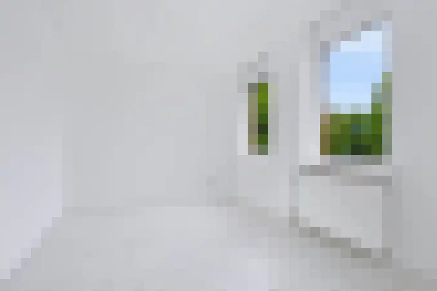Knoopkruid 42 Voorthuizen thumbnail 24