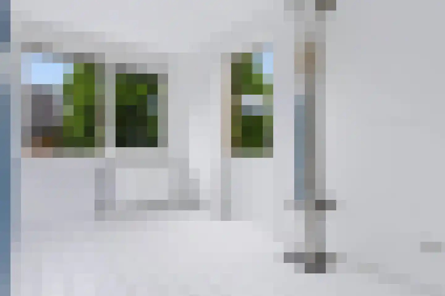 Knoopkruid 42 Voorthuizen thumbnail 27
