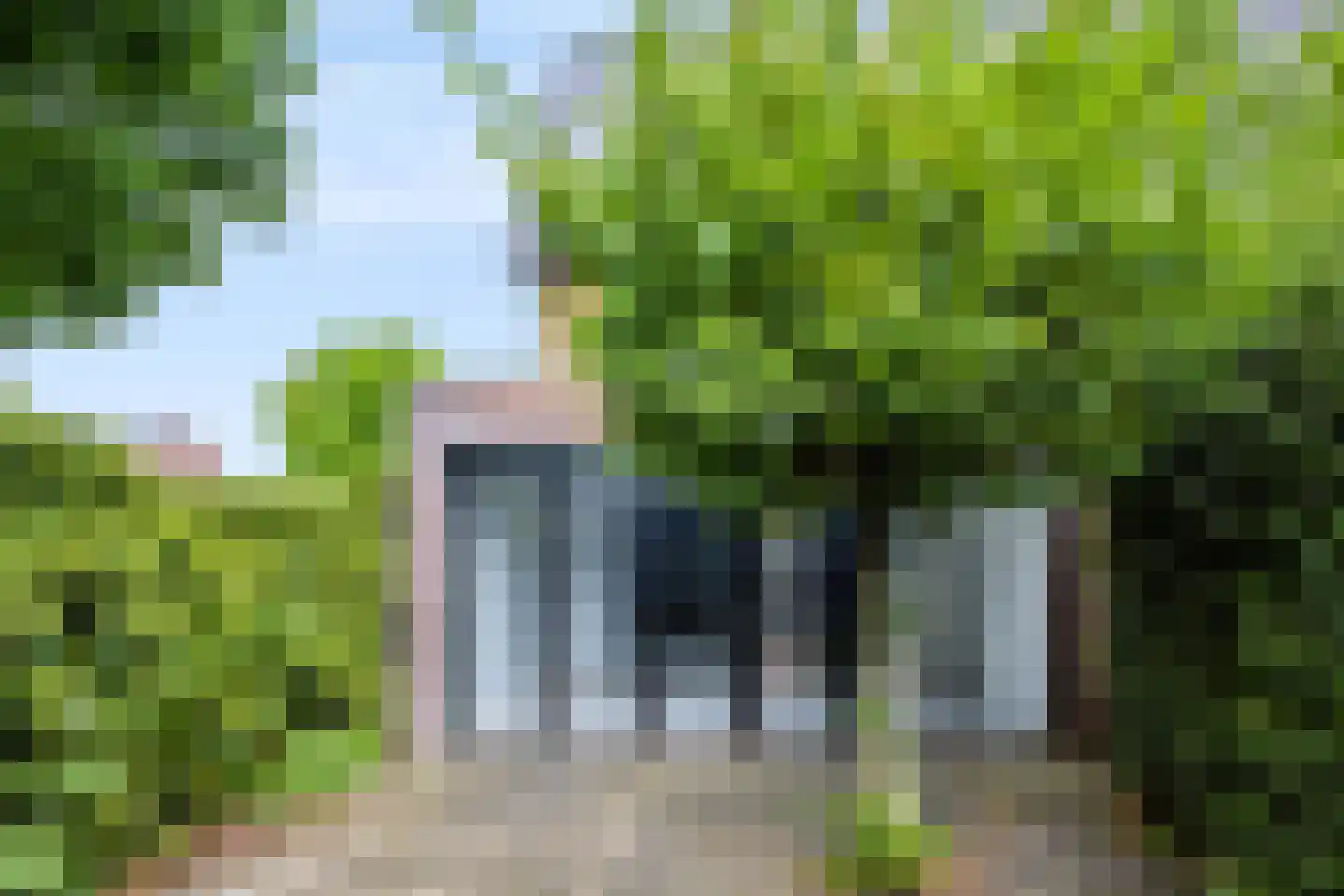 Knoopkruid 42 Voorthuizen thumbnail 34
