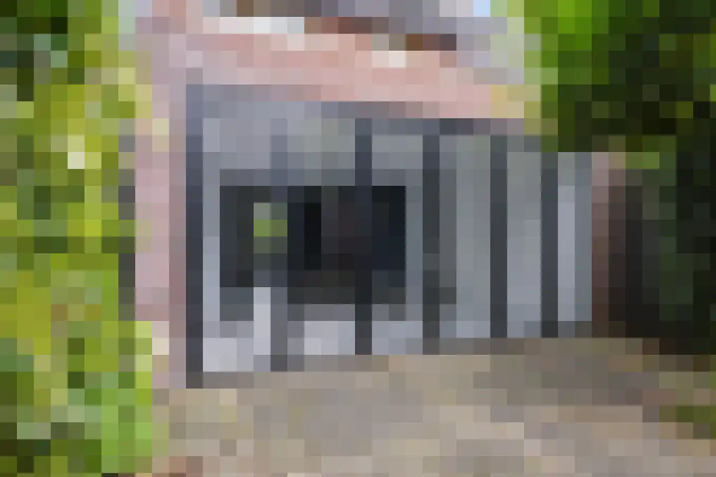 Knoopkruid 42 Voorthuizen thumbnail 35