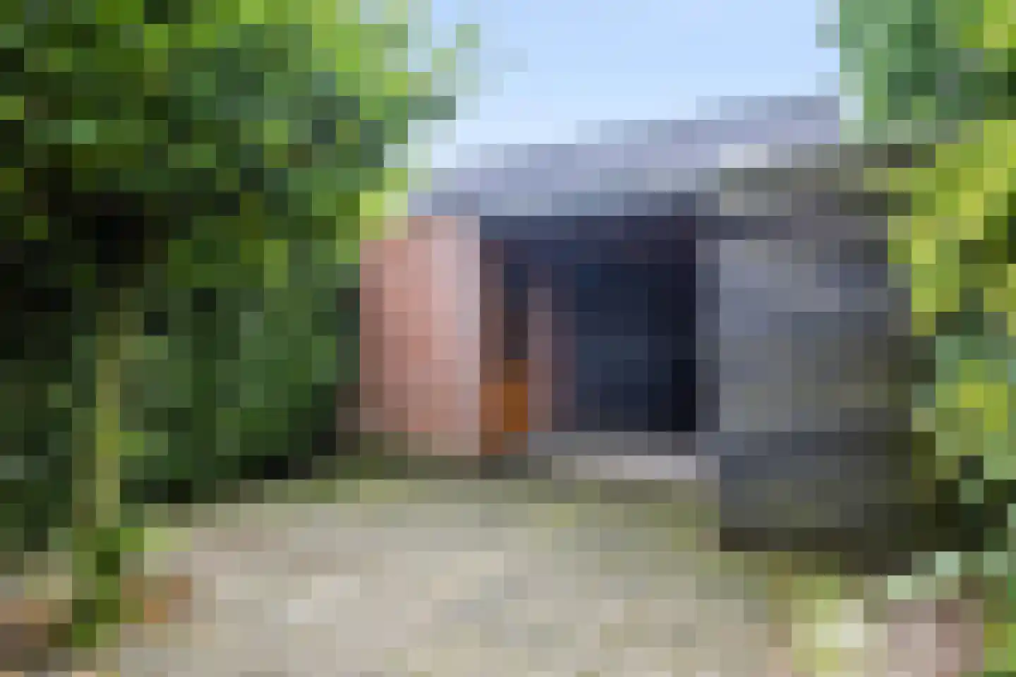 Knoopkruid 42 Voorthuizen thumbnail 36