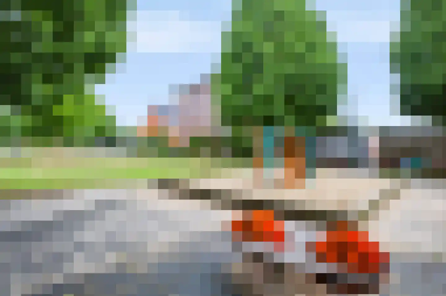 Knoopkruid 42 Voorthuizen thumbnail 38