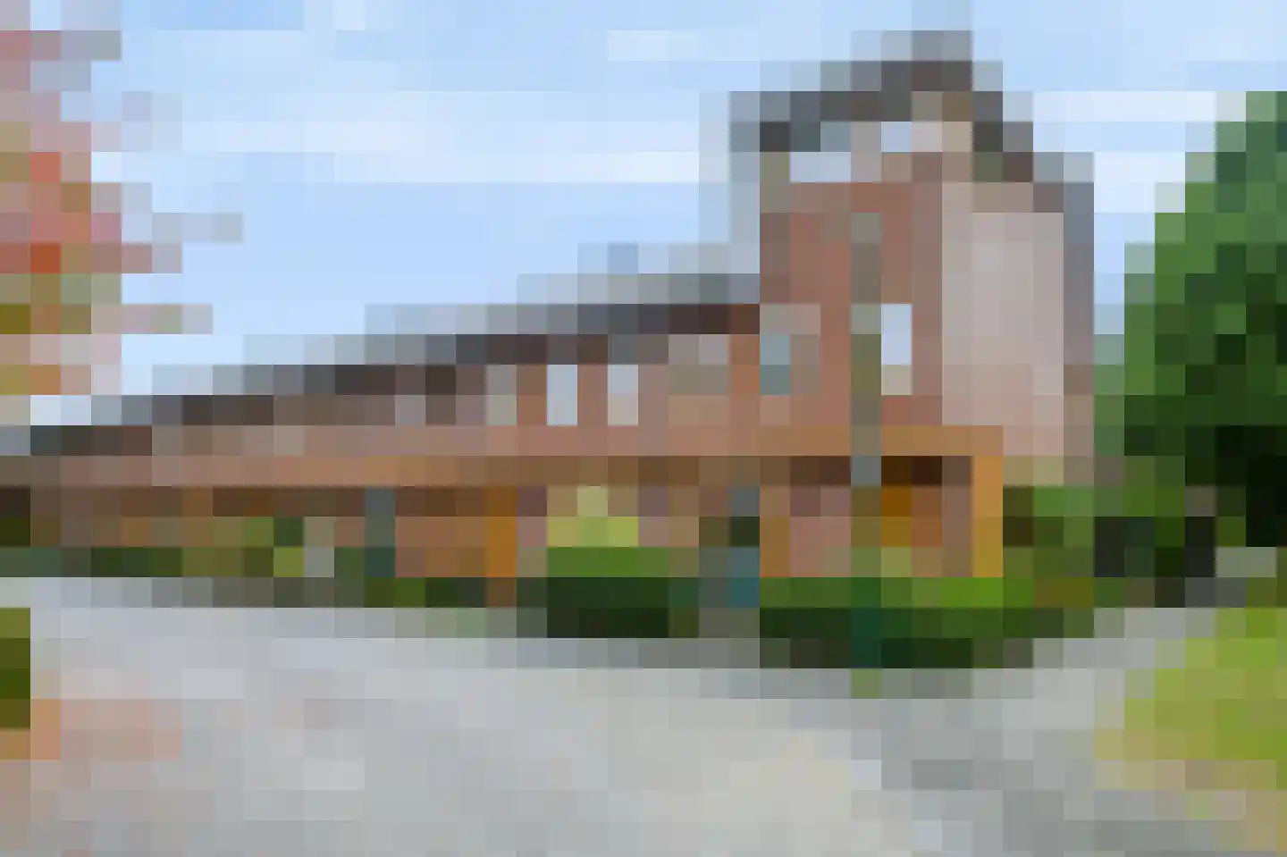 Knoopkruid 42 Voorthuizen thumbnail 6
