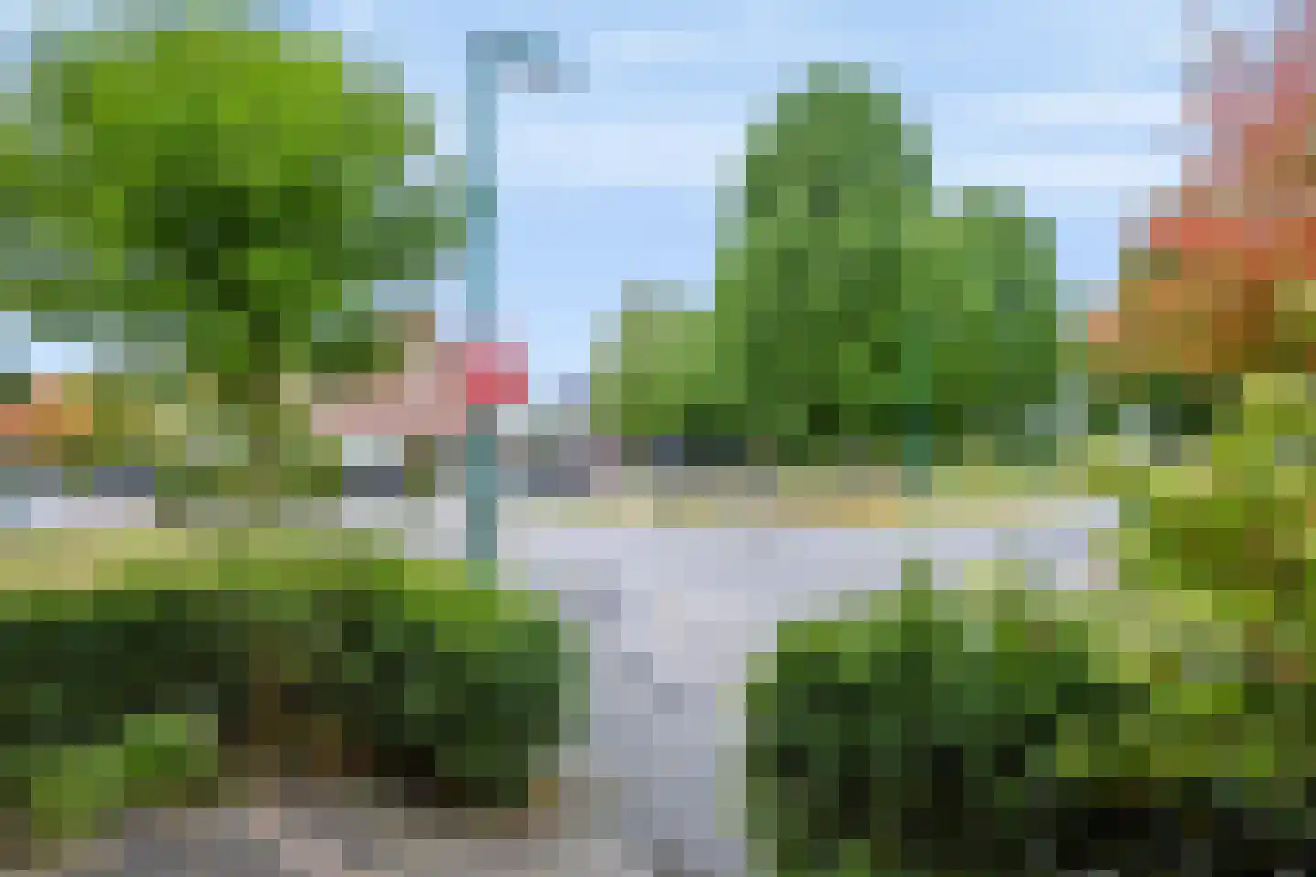 Knoopkruid 42 Voorthuizen thumbnail 7