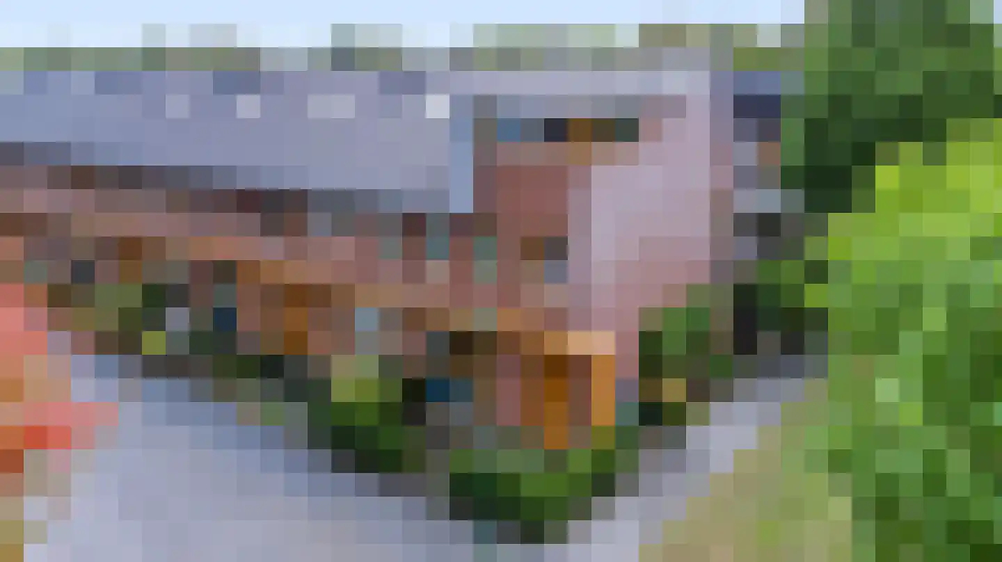 Knoopkruid 42 Voorthuizen thumbnail 8