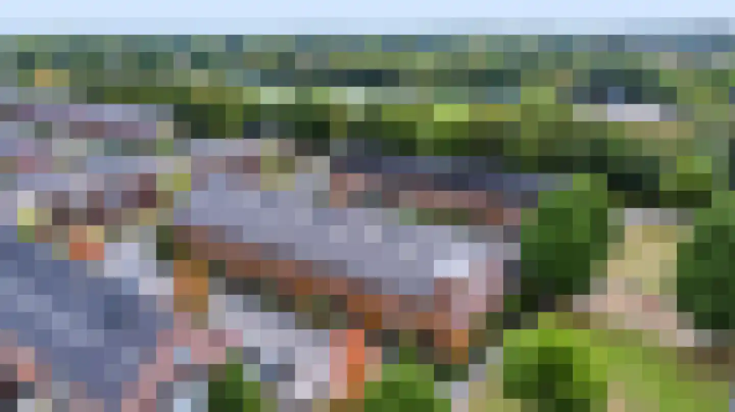 Knoopkruid 42 Voorthuizen thumbnail 9