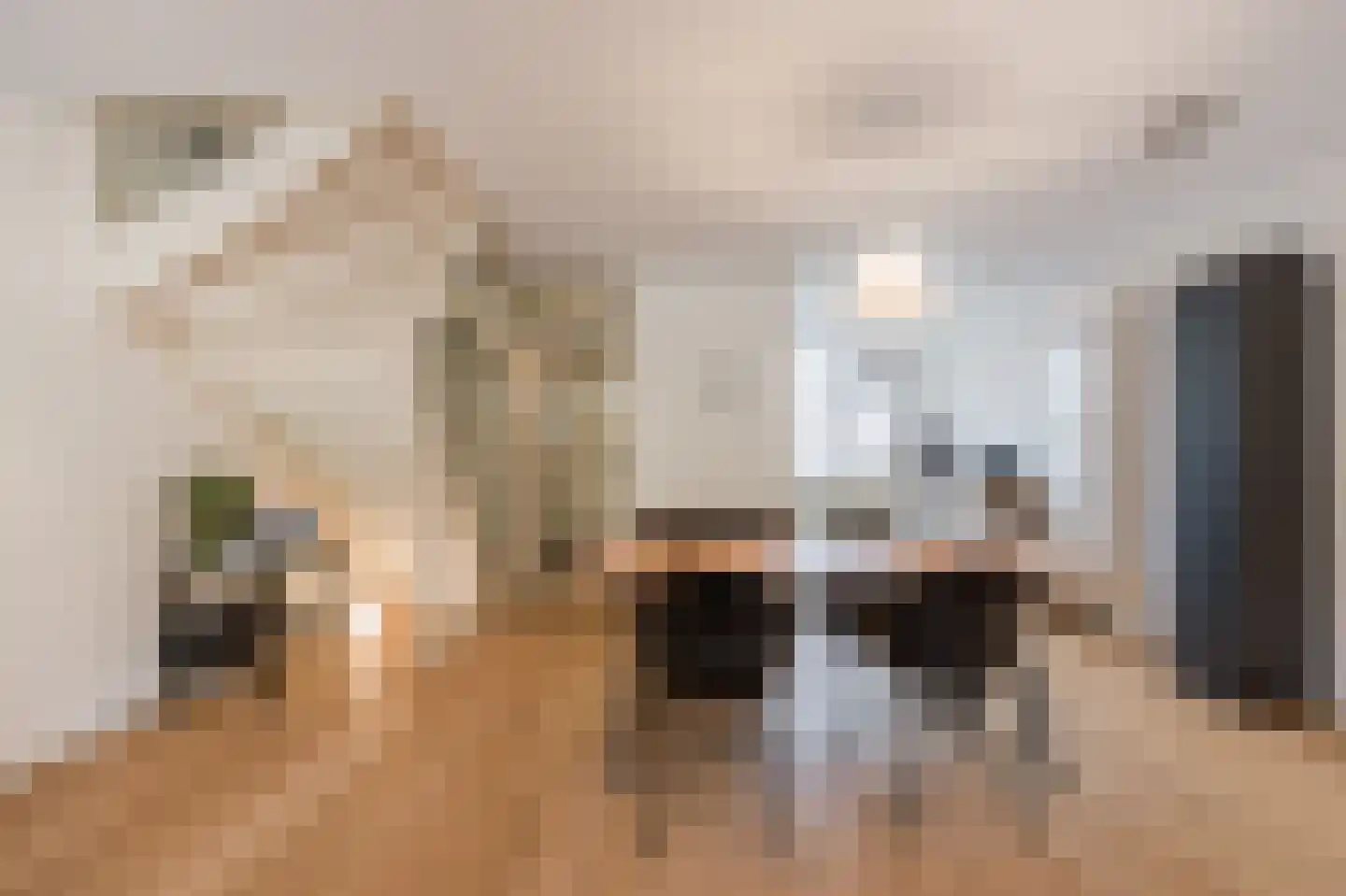 Knoopkruid 46 Diemen thumbnail 12