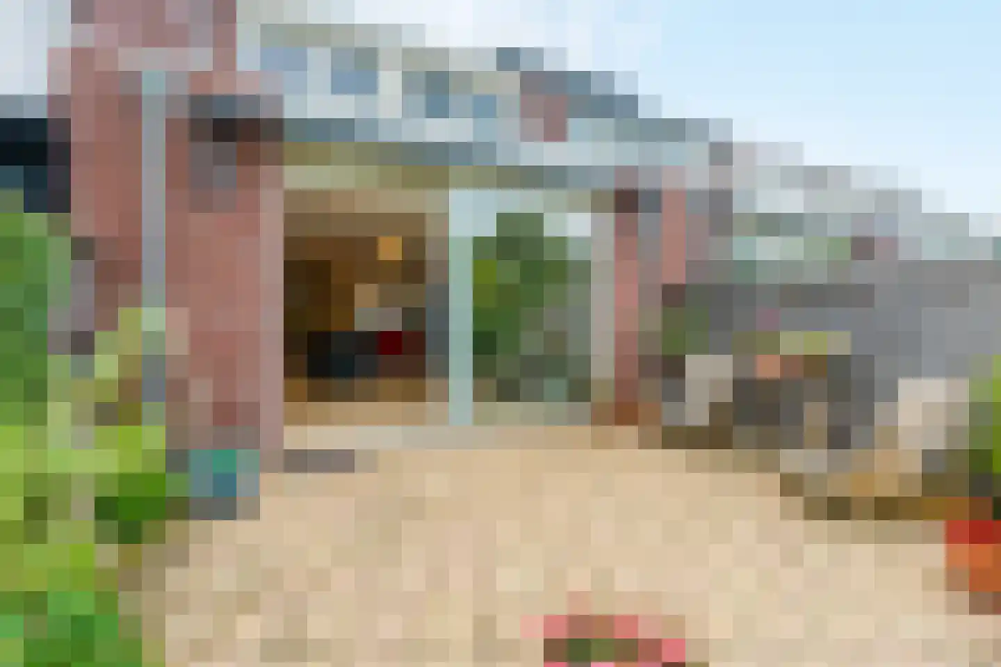 Knoopkruid 46 Diemen thumbnail 15