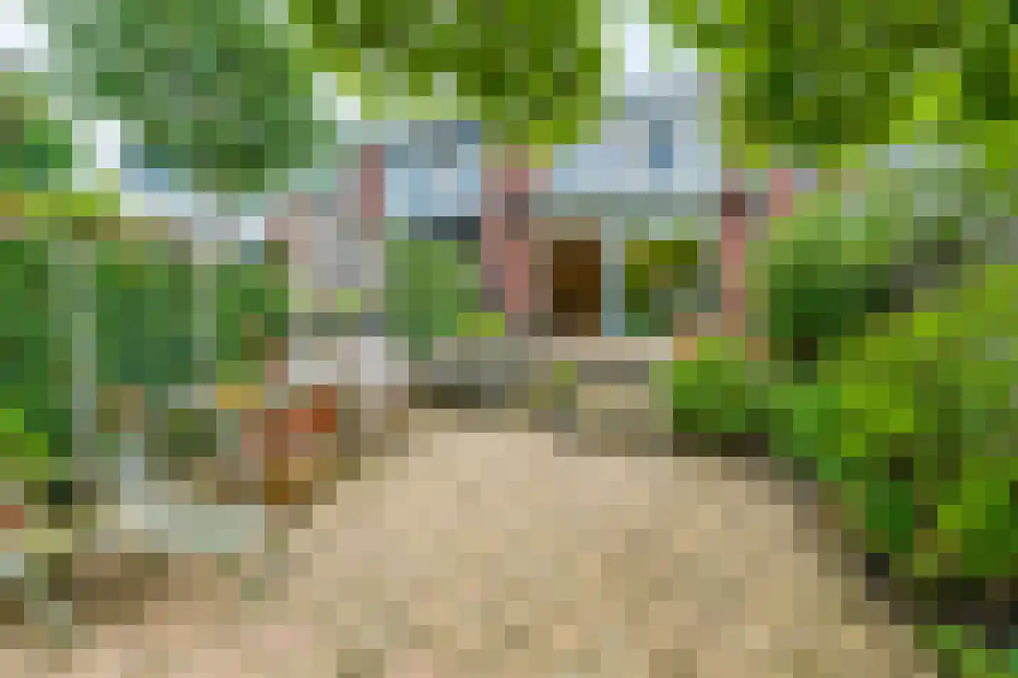 Knoopkruid 46 Diemen thumbnail 16