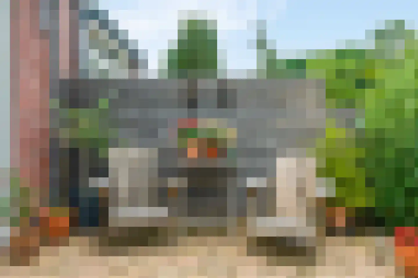 Knoopkruid 46 Diemen thumbnail 17