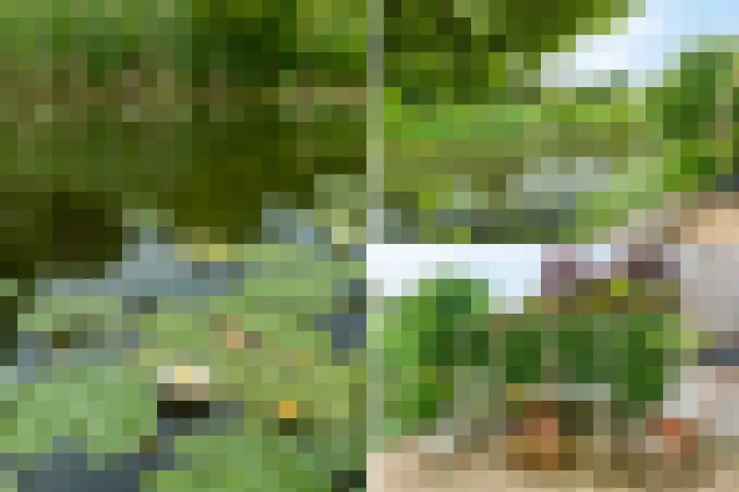 Knoopkruid 46 Diemen thumbnail 18