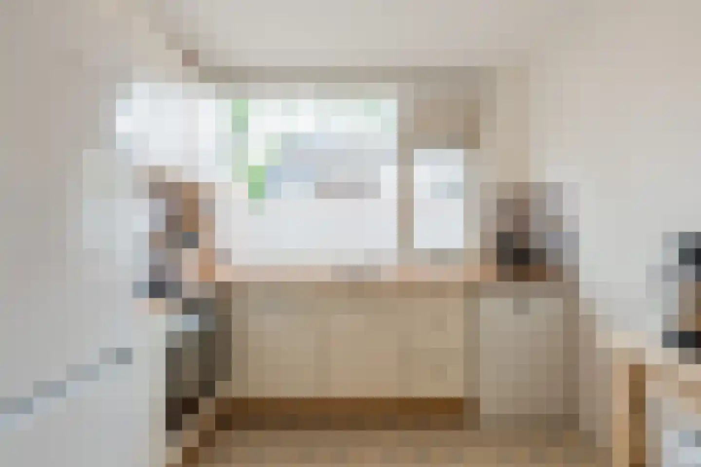 Knoopkruid 46 Diemen thumbnail 20