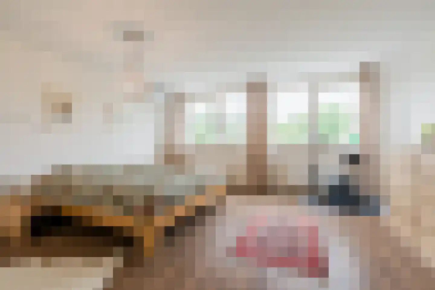 Knoopkruid 46 Diemen thumbnail 23