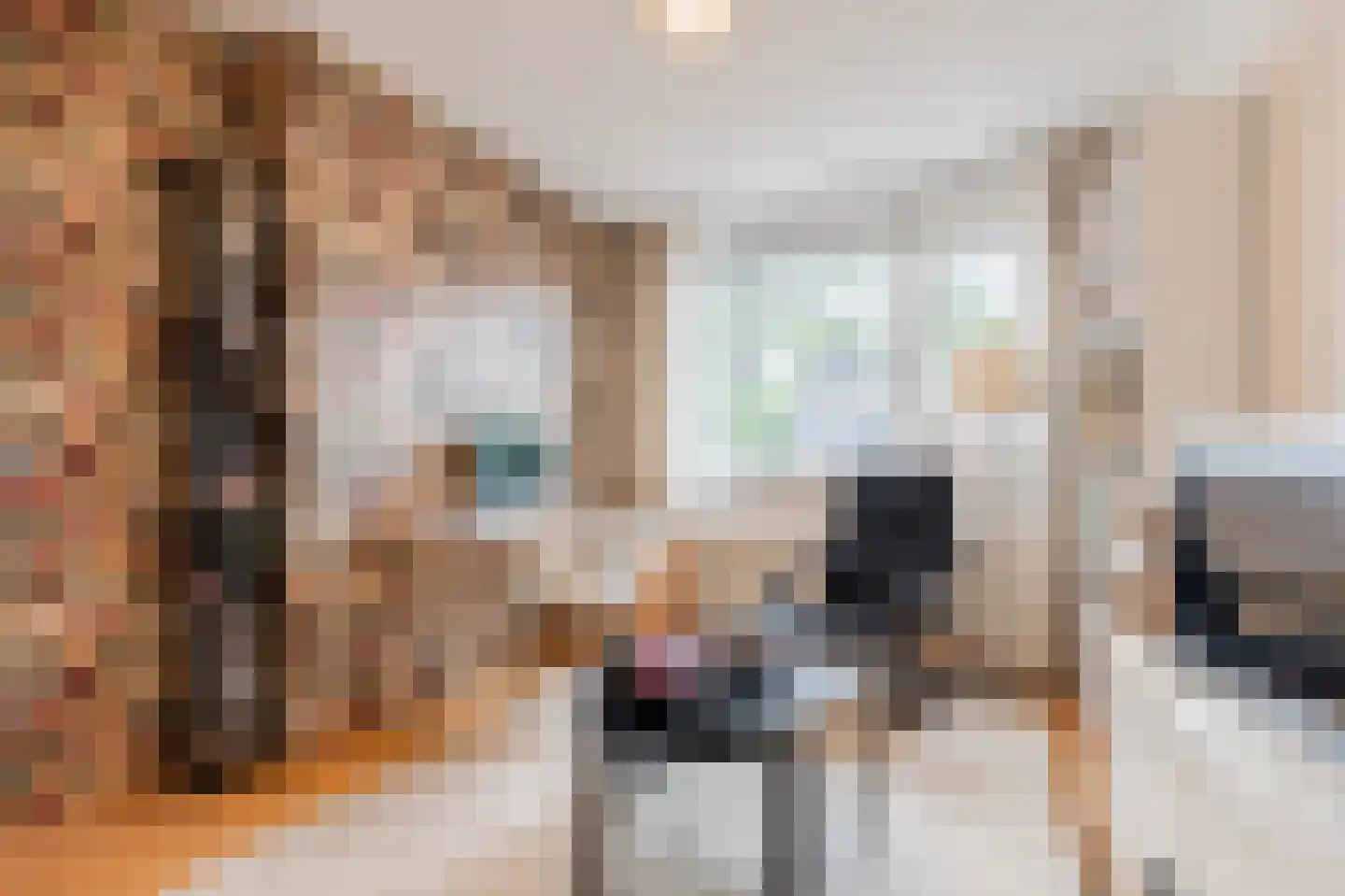 Knoopkruid 46 Diemen thumbnail 27