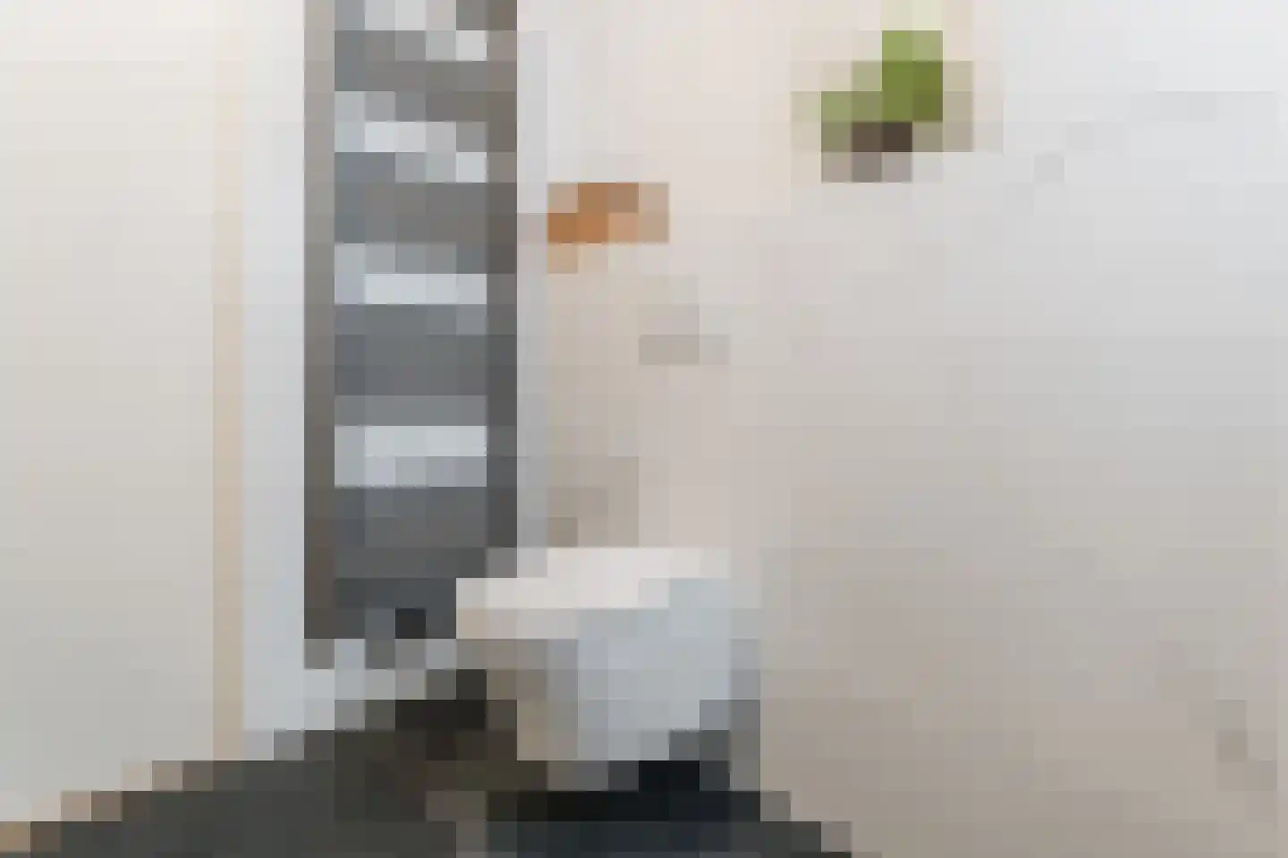 Knoopkruid 46 Diemen thumbnail 30