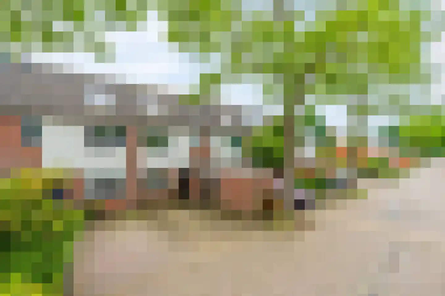 Knoopkruid 46 Diemen thumbnail 38