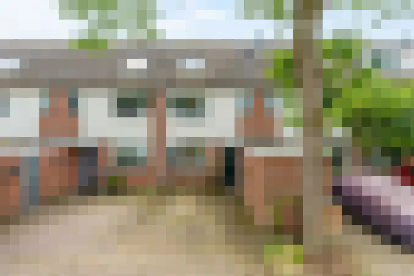 Knoopkruid 46 Diemen thumbnail 39
