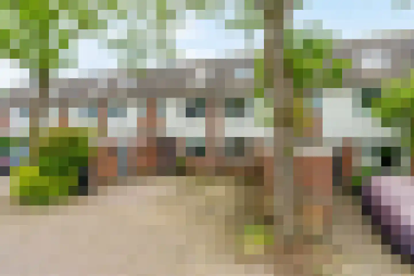 Knoopkruid 46 Diemen thumbnail 40