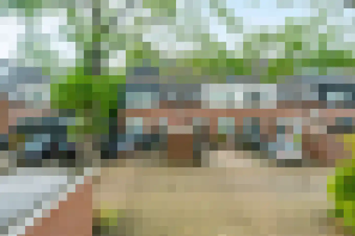 Knoopkruid 46 Diemen thumbnail 41