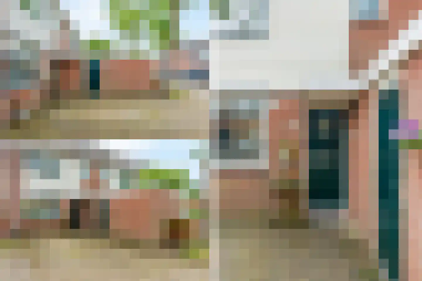 Knoopkruid 46 Diemen thumbnail 42