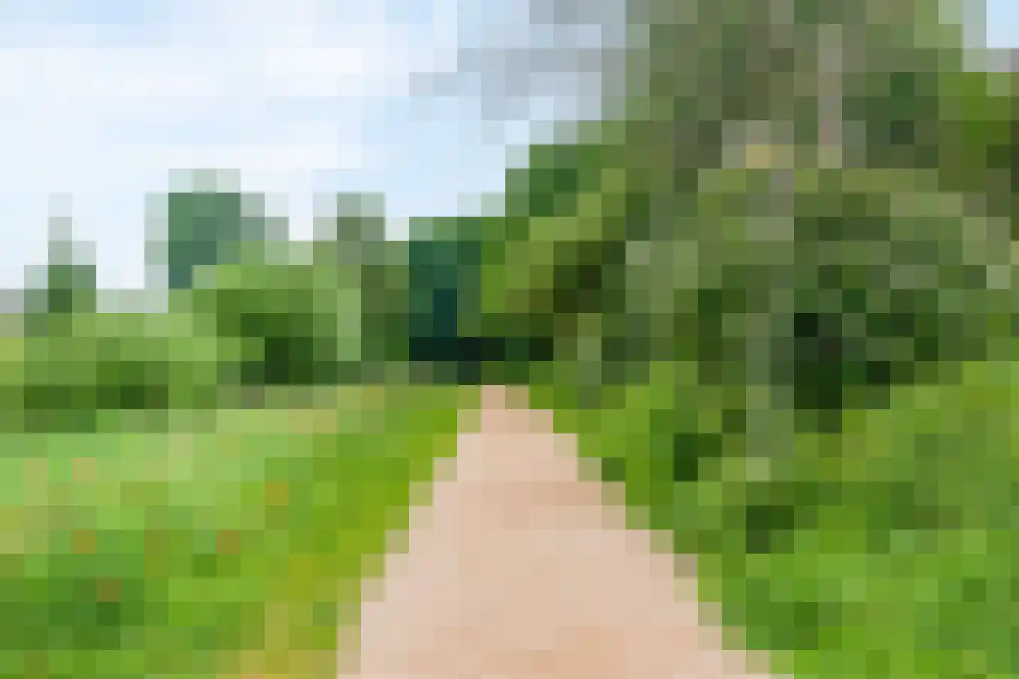 Knoopkruid 46 Diemen thumbnail 47