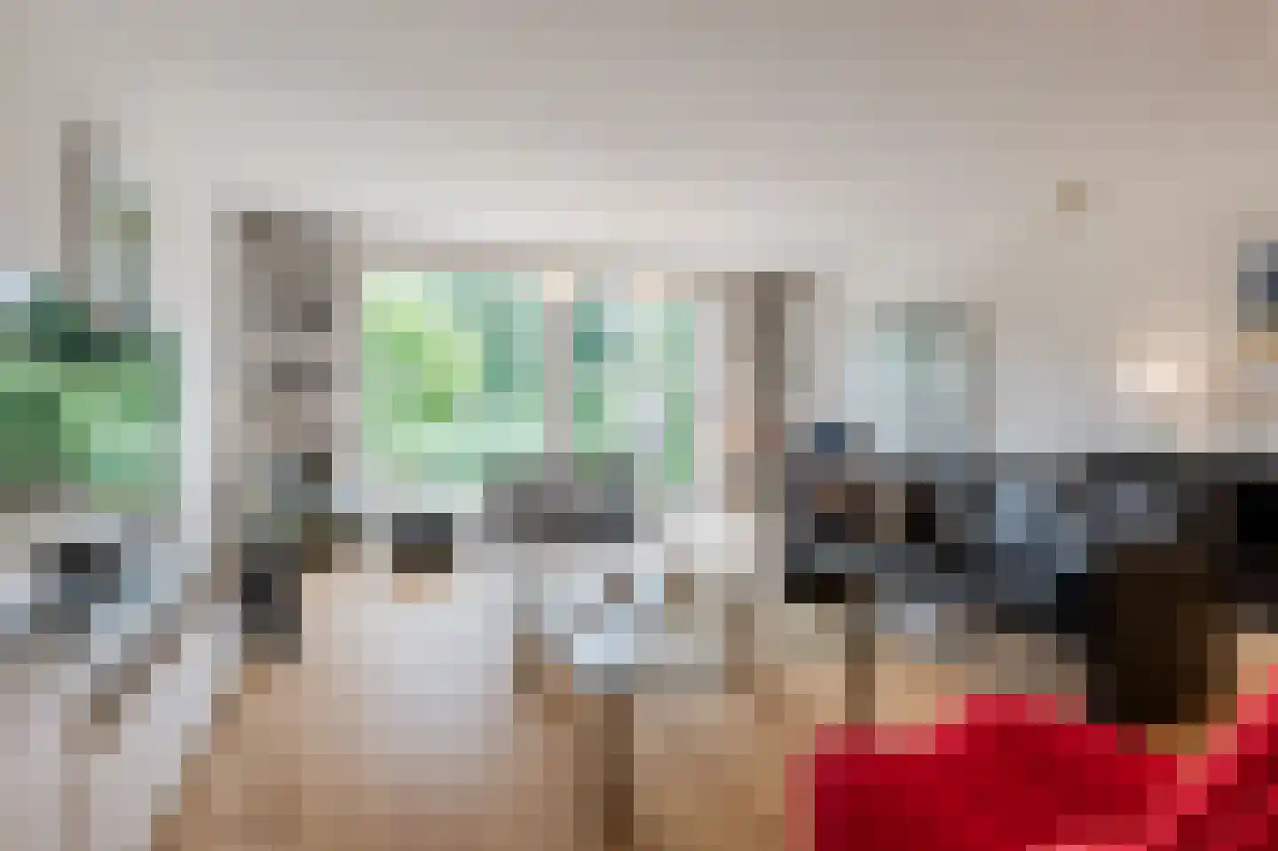 Knoopkruid 46 Diemen thumbnail 6