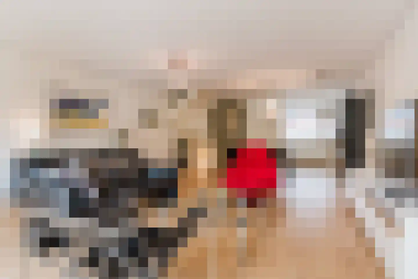 Knoopkruid 46 Diemen thumbnail 7