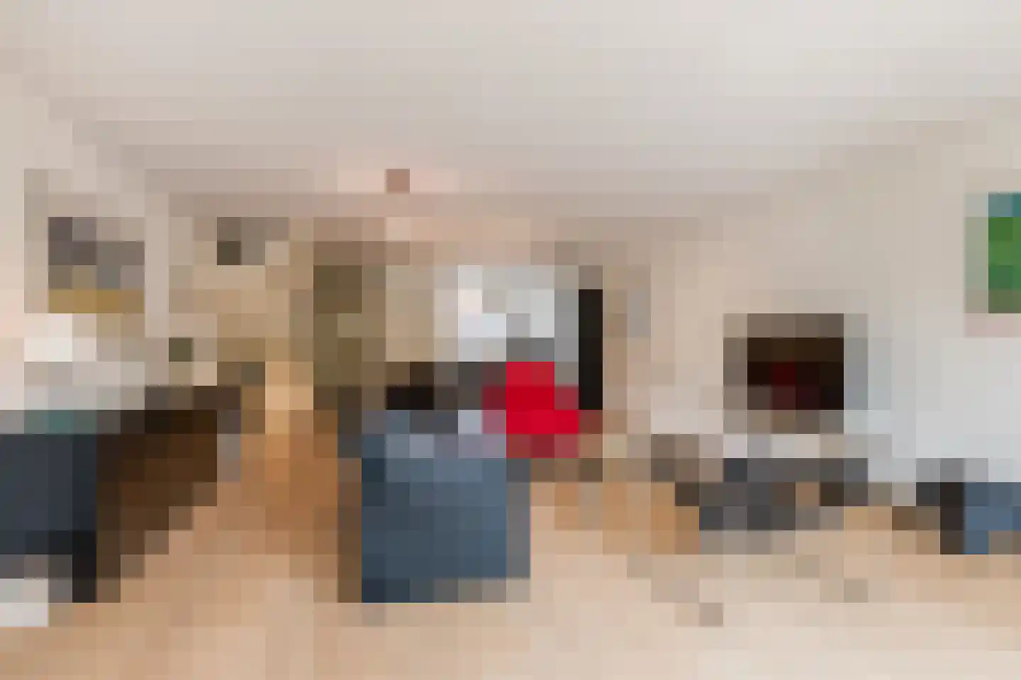 Knoopkruid 46 Diemen thumbnail 8